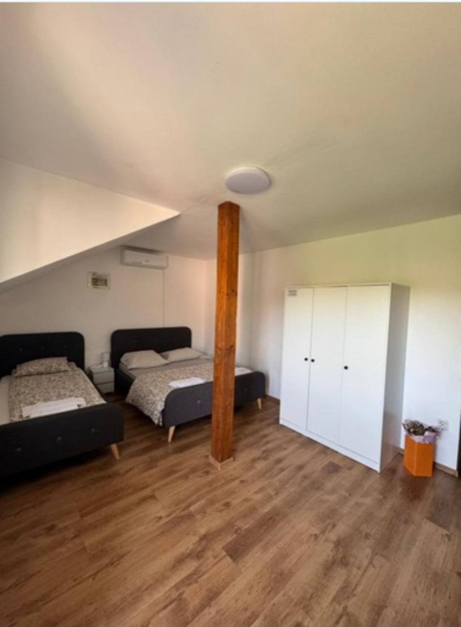 Sport Hostel Cluj Eksteriør billede